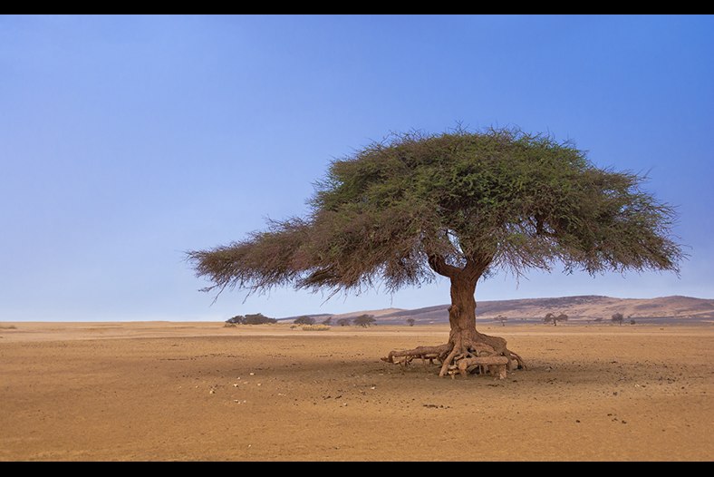 Les Terres de l'Adrar 07